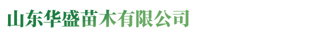 河南柔性鑄鐵排水管廠(chǎng)家